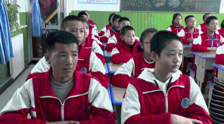 虫虫助手下载