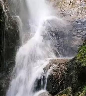虫虫助手下载